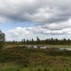 20100720_0086